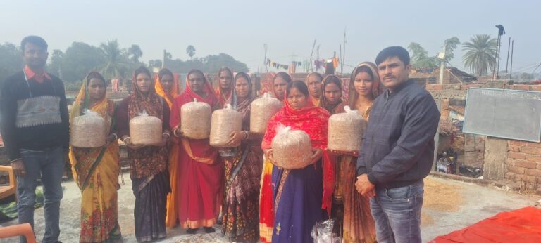 Mashroom , Agriculture